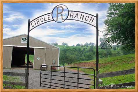 Stables at Deep Creek Lake