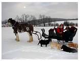 sleighrides_bg.jpg